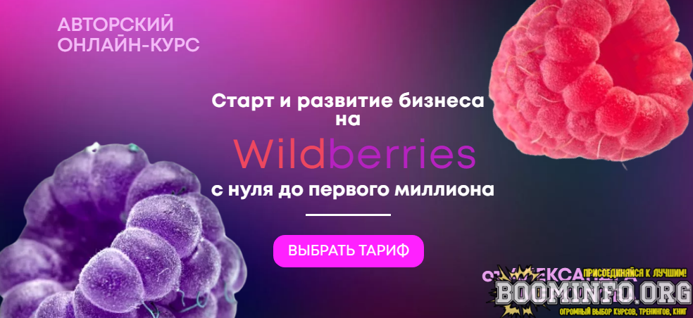 aleksandr-merkulov-start-i-razvitie-biznesa-na-wildberries-s-nulja-do-pervogo-milliona-2021-png.967