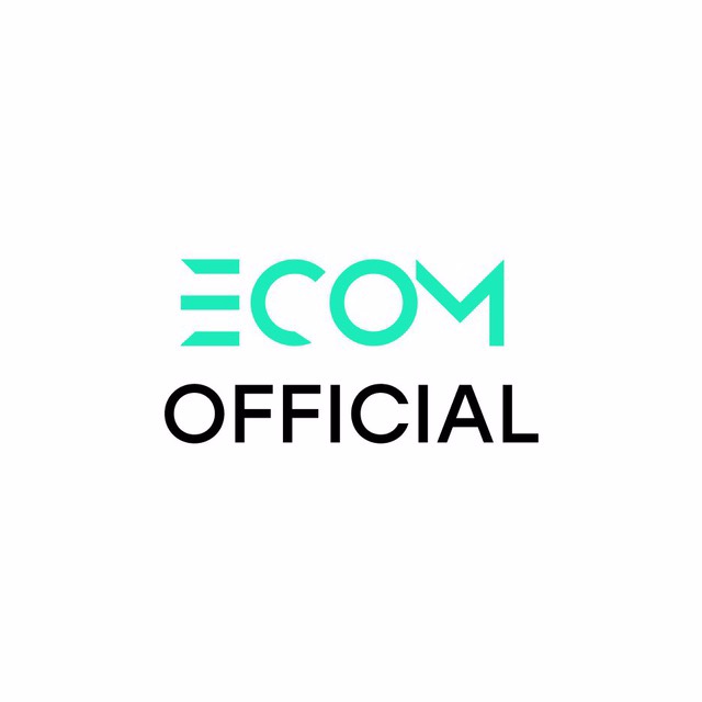 ecomof-ecomofficial-0-100k-shopify-dropshipping-2020-jpg.911