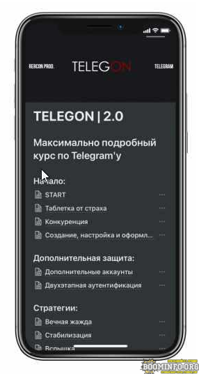 rercon-net-kurs-po-telegramu-telegon-maximus-2-0-2021-png.916