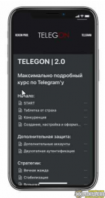 rercon-net-kurs-po-telegramu-telegon-maximus-2-0-2021.png