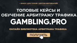 gambling-pro-obuchenie-po-rabote-s-fejsbukom-2020.jpg