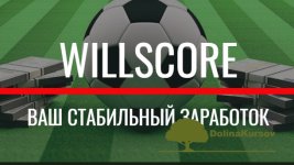 willscore-tb-2-1-soft-dlja-stavok-na-sport-2019.jpg