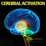 cerebral-activation-cerebralnaja-aktivacija-idoser-binaural.jpg