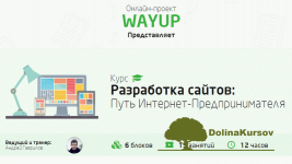 wayup-razrabotka-sajtov-put-internet-predprinimatelja.png