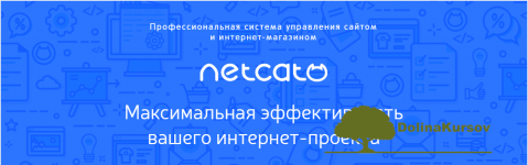 netcat-extra-nulled-v5-9-0-1.png