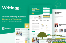 elements-envato-writingg-content-copywriting-services-elementor-template-kit.png