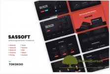 themeforest-sassoft-appkit-elementor-template-kit.jpg