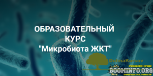 vladimir-chikunov-shkola-dietologii-i-nutriciologii-obrazovatelnyj-kurs-mikrobiota-zhkt-2021.png