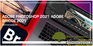 andrej-zhuravlev-adobe-photoshop-2021-adobe-bridge-2021.png