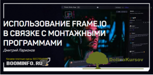 dmitrij-larionov-ispolzovanie-frame-io-v-svjazke-s-montazhnymi-programmami-2019.png