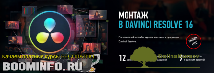 dmitrij-larionov-montazh-v-davinci-resolve-16-2019.png