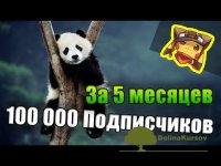 5-mesjacev-100-000-podpischikov-youtube-panda.jpg