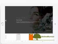 muse-themes-timeline-widget.png