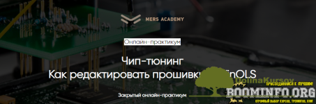 mers-academy-chip-tjuning-kak-redaktirovat-proshivki-v-winols-2021.png