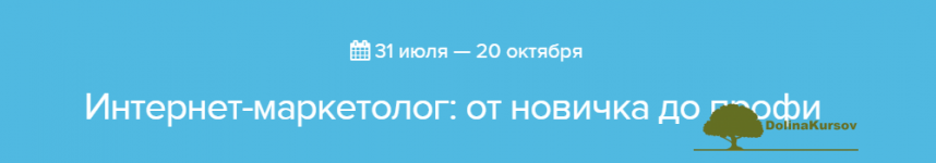 internet-marketolog-ot-novichka-do-profi-netologija-2015.png