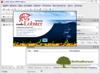 codelobster-php-edition-v5-10-1-pro-rus-mnogofunkcionalnyj-redaktor-rnr-html-css-fajlov.png