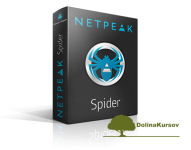 netpeak-spider.png