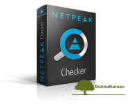 netpeak-checker.png